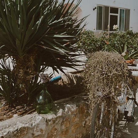 Agriturismo Azzarone ヴィエステ エクステリア 写真