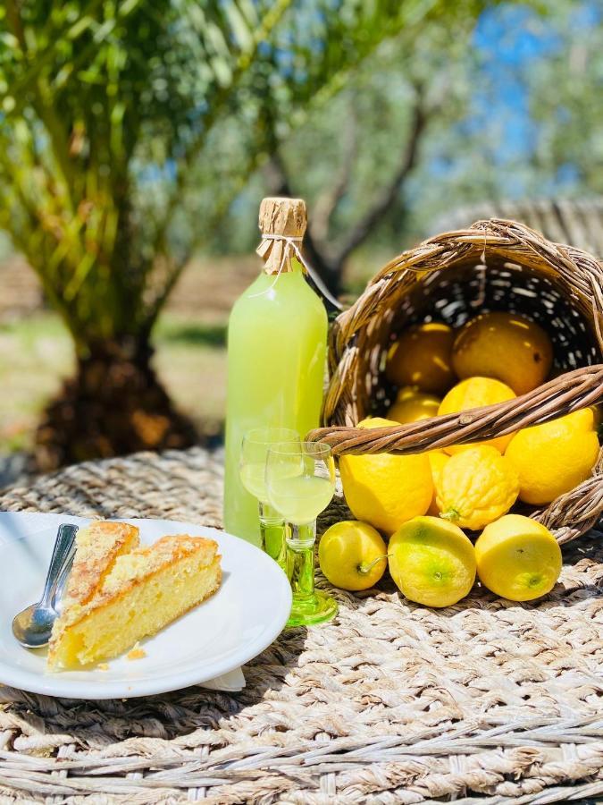 Agriturismo Azzarone ヴィエステ エクステリア 写真