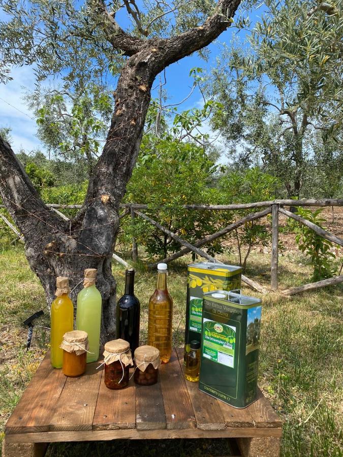 Agriturismo Azzarone ヴィエステ エクステリア 写真