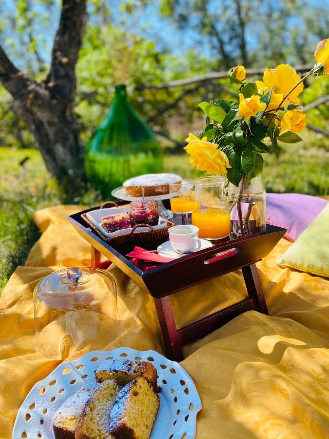 Agriturismo Azzarone ヴィエステ エクステリア 写真