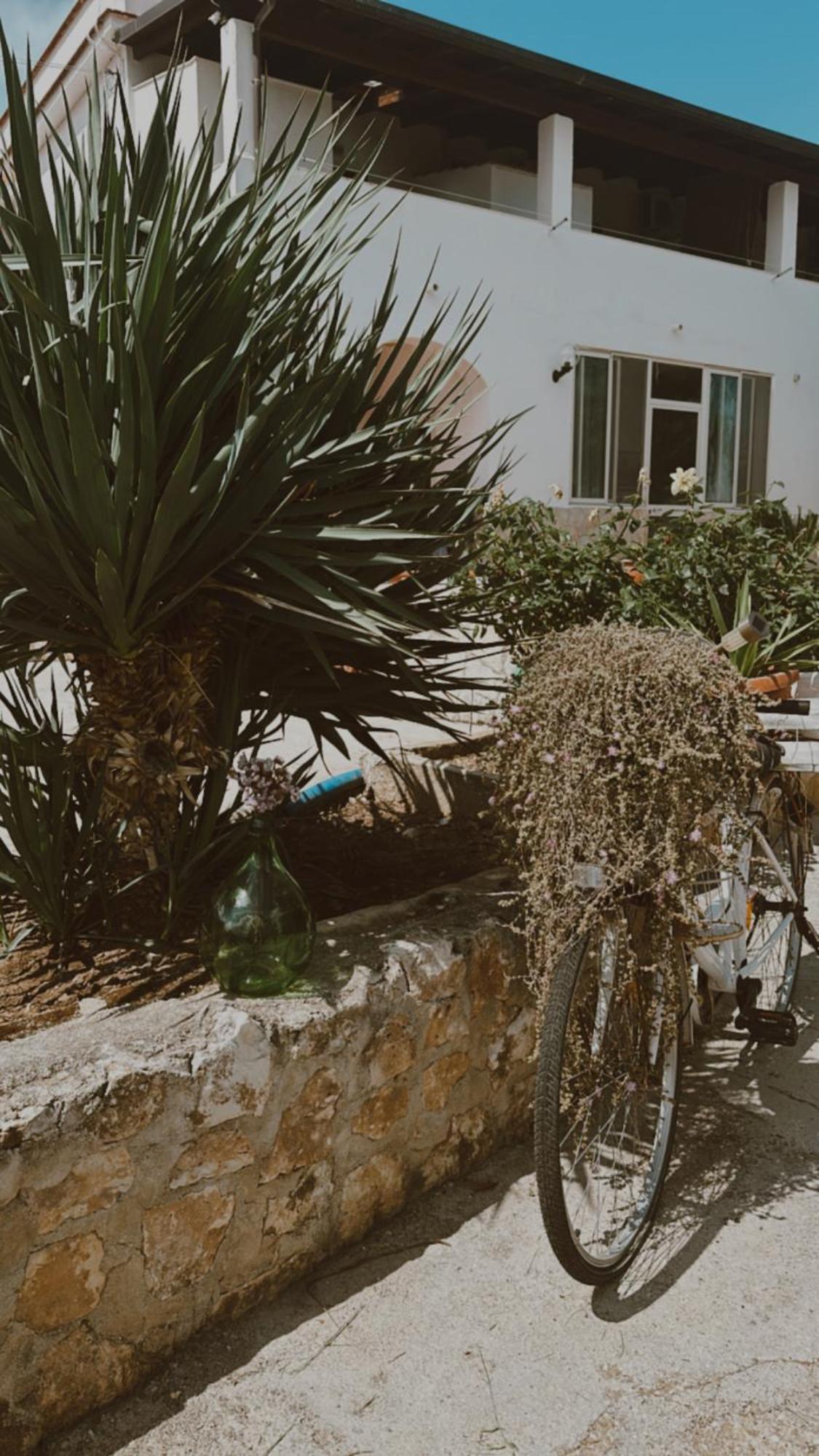 Agriturismo Azzarone ヴィエステ エクステリア 写真